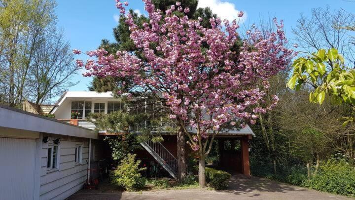 Welcome In - Appartement - Valkenisseweg 68 L Biggekerke 'Strand Appartement' エクステリア 写真